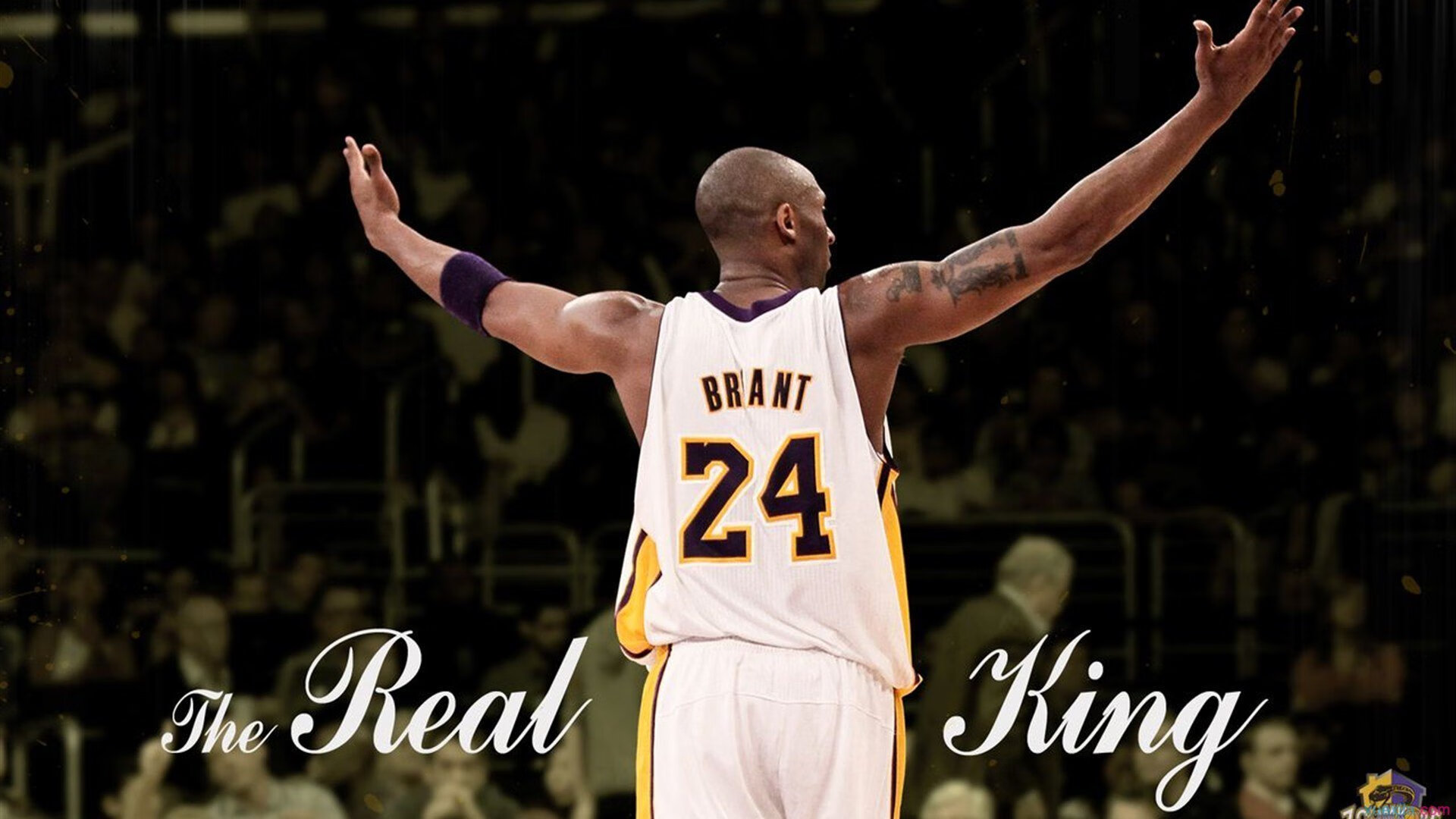 亚博官网-综合格斗赛场焦点！澳大利亚队对阵阿根廷队，压哨绝杀，引爆全场观众欢呼